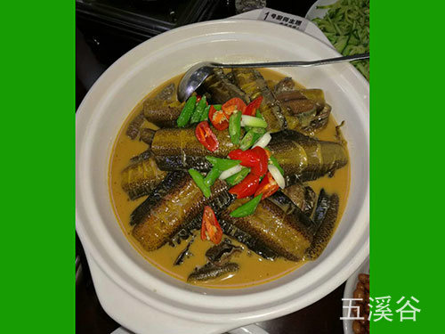 野生鱔魚(yú)