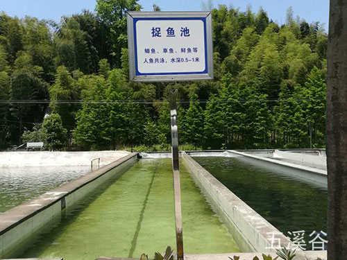 捉魚(yú)池