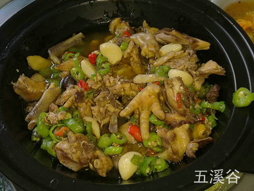 農家土雞